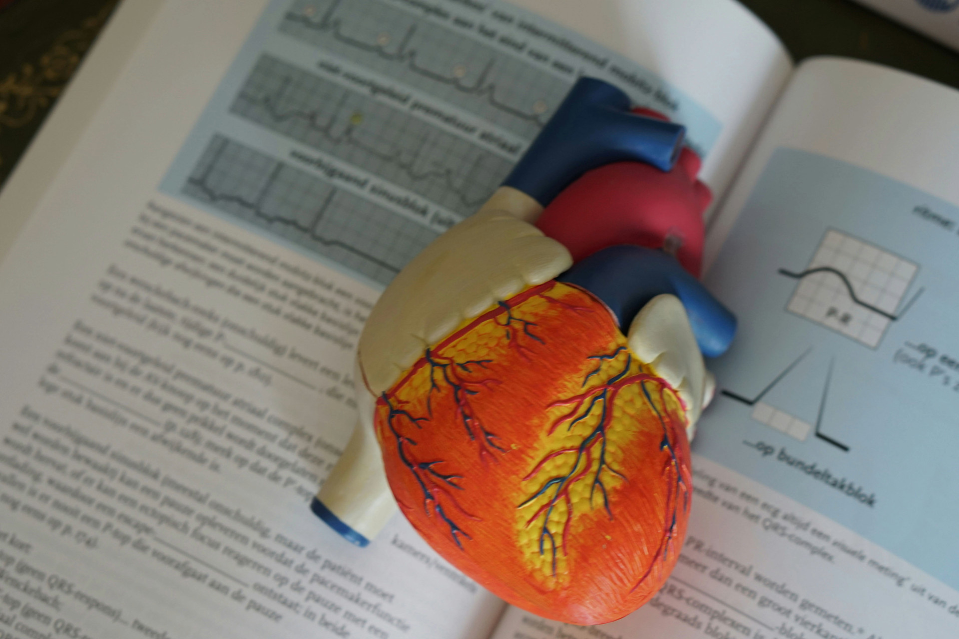 cardio_oncology